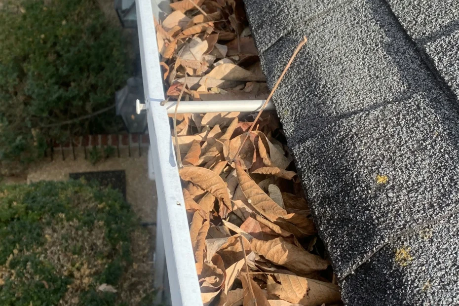 Gutter Cleaning Raines