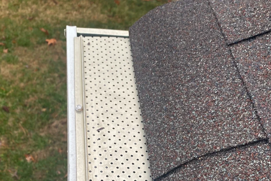 Gutter Cleaning Raines