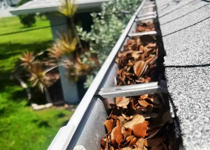 Gutter Cleaning Raines home page